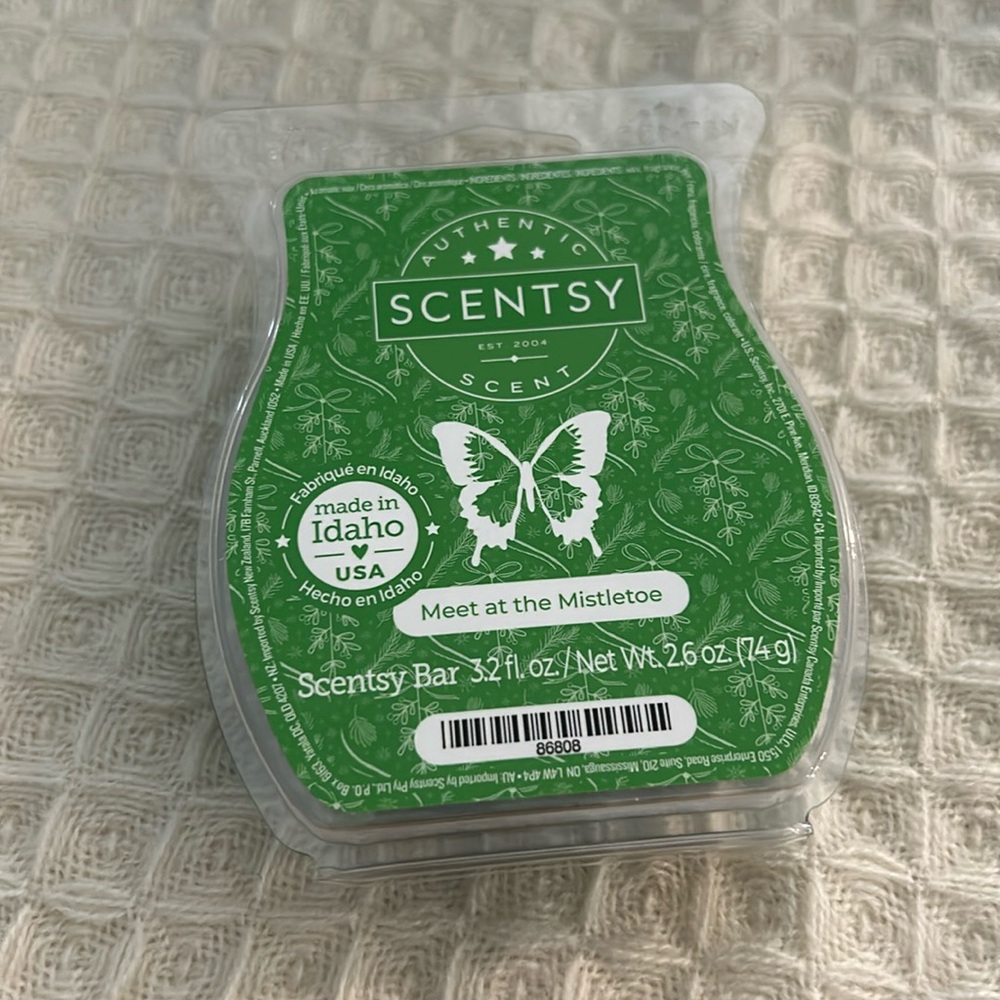 Meet At The Mistletoe Scentsy Bar